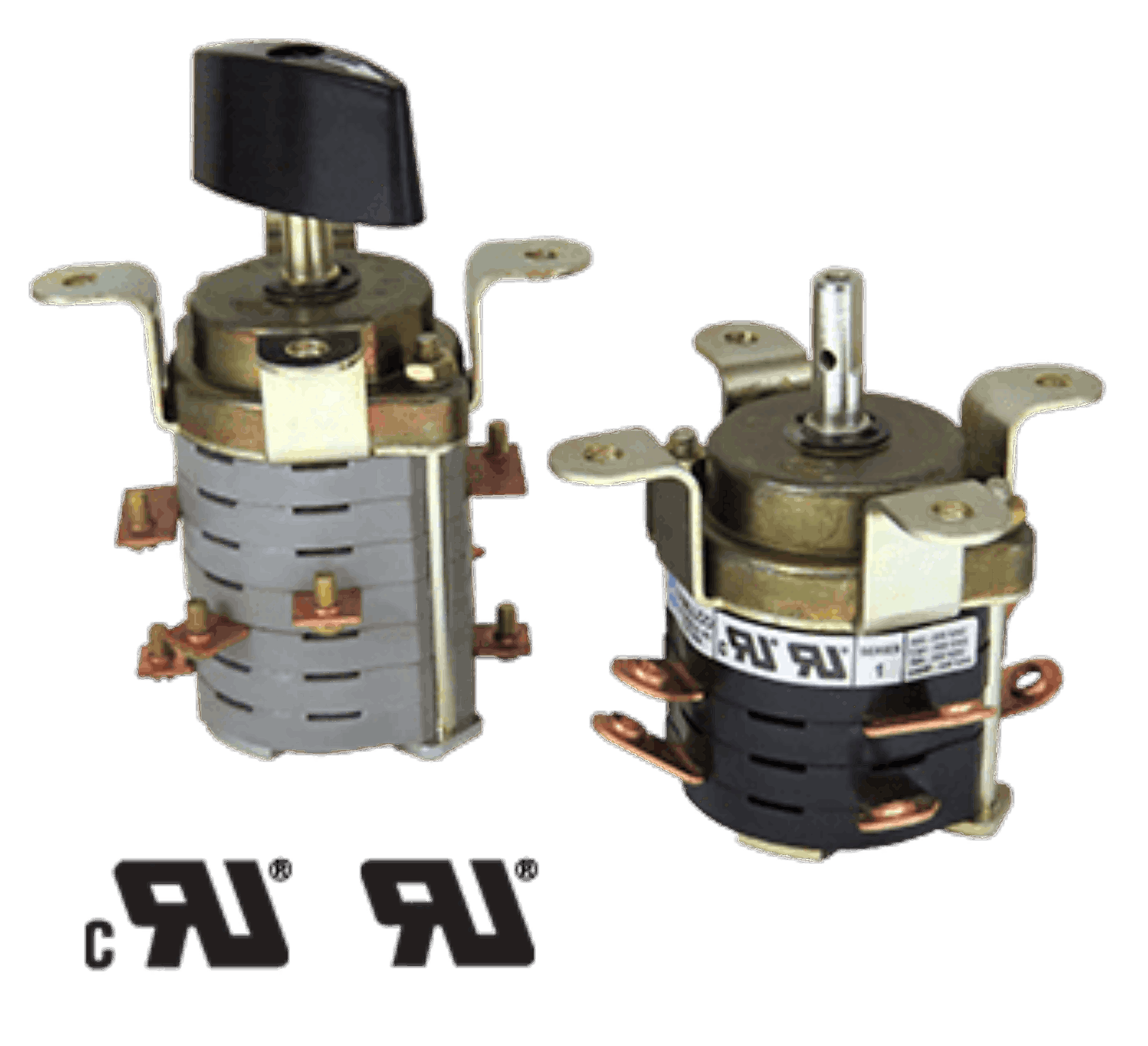 Snap Action Rotary Switch - 16 Amps